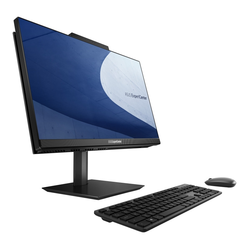 Asus E5202WHAK-BA174M All in One 12