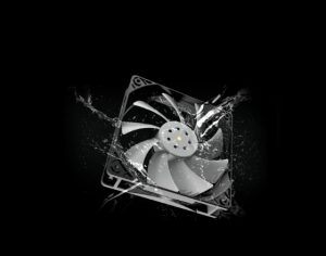 fan